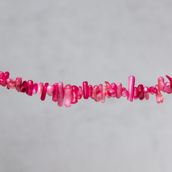 Corail bambou sticks