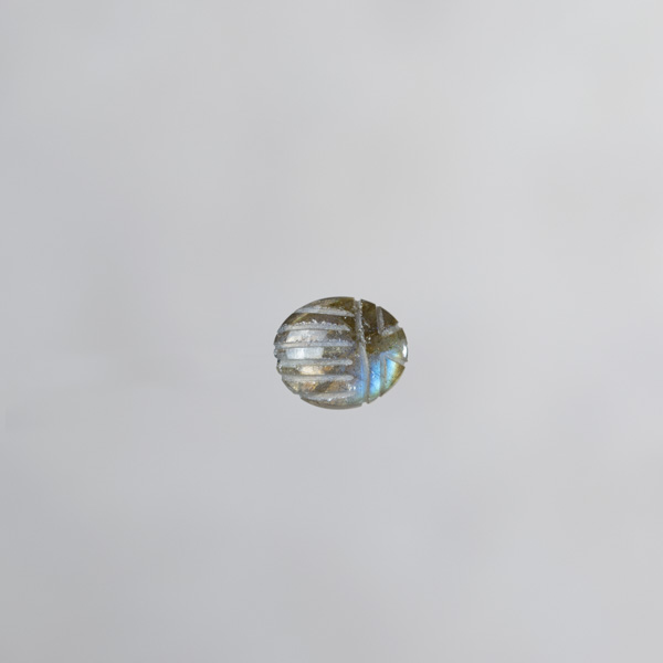 1-Ramses scarabée 10x12mm
