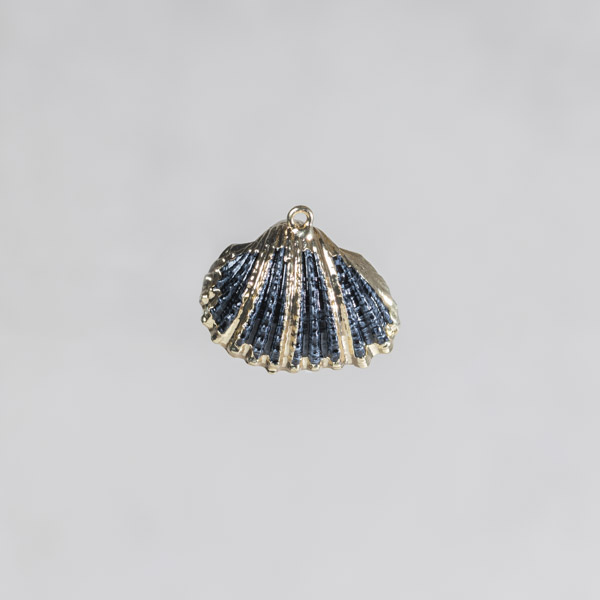 Coquillage