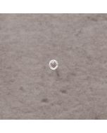 Anneaux pl.argt 10 micr 3x0.6mm - 0.16€x100=16€