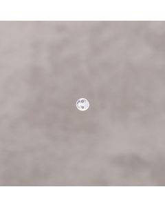 Pastille 4mm/2 trous pl.argt 5 microns-0.39€x6=2.34€