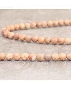 Fossile stone d'Afrique 6mm