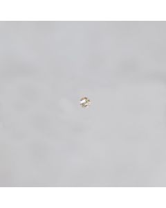 Zirconium fcté 4.5mm pr sertis Champagne 1.35€x6=8.1€