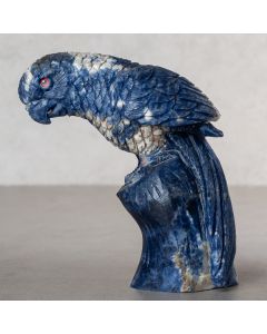 Sodalite d'Afrique Aigle 10-20cm