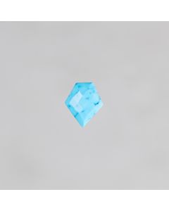 Turquoise renforcée "AA" talisman 8x11m 2.9x4=11.6€
