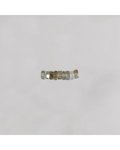 Labra fac rdelle"Hawai" 2x4.5mm 0.59x10=5.9€