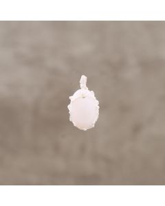 Nacre/ivoire pdt 12x18mm Rahan 2.95€x2=5.9€