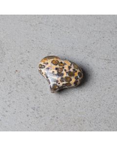 Jaspe léopard d'Afrique heart pendentif 22x25mm 