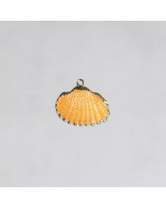 Coquillage 20-30mm pdt papaye or 1.2€x4=4.8€